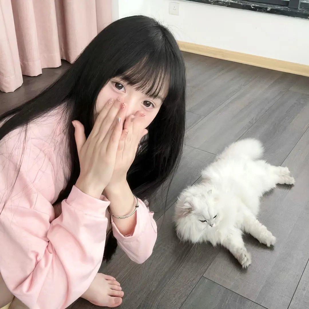 纸牌屋第二季
