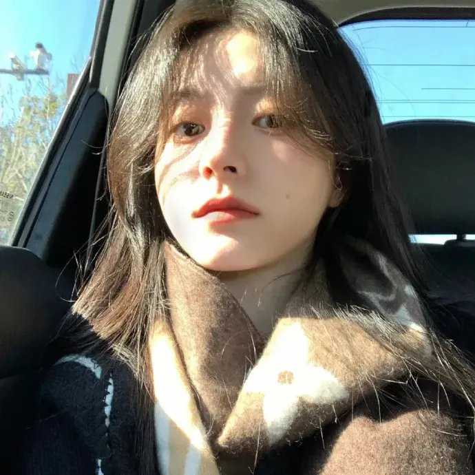 我的老婆是只猫